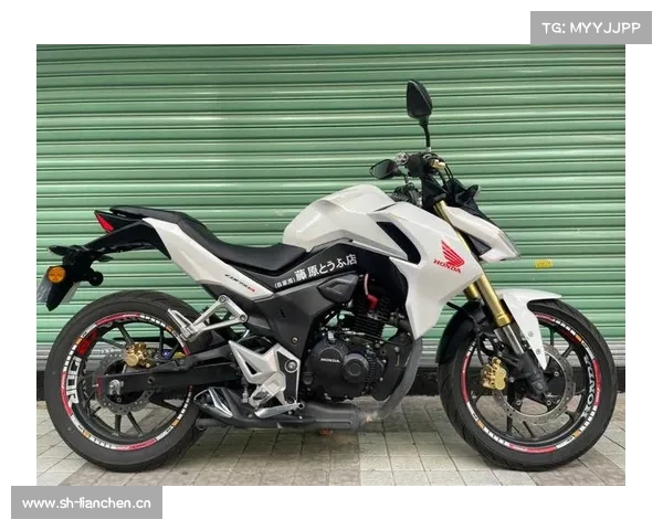 上打250，下压150的本田190全家福